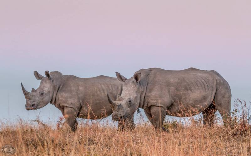 4-Day Amazing Tanzania Wildlife & Cultural Experience Safari