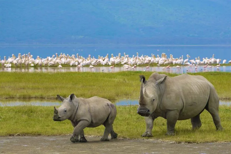 4-Day Amazing Tanzania Wildlife & Cultural Experience Safari