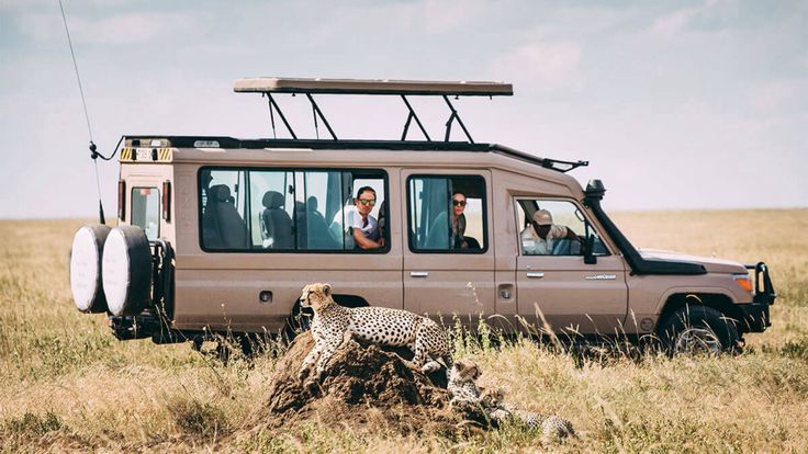 Unforgettable 8-Day Halal-Friendly Safari In Tanzania