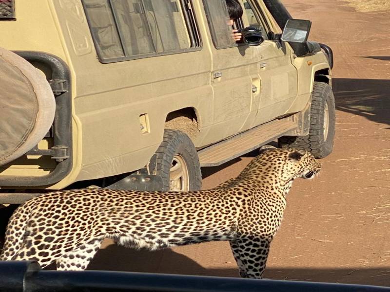 6-day Bird-watching Safari in Tanzania