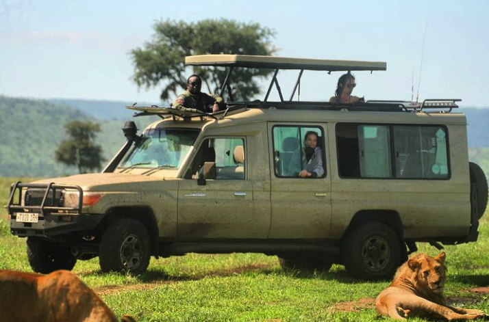 6-day Bird-watching Safari in Tanzania