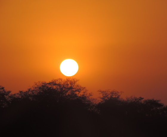 9 Days of the Great Migration: Witness the Mara River Crossing