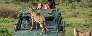 9 Days of the Great Migration: Witness the Mara River Crossing