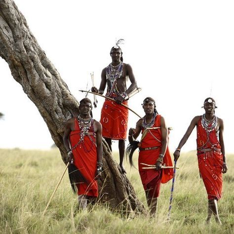 8Day Deluxe Tanzania Northern Parks Safari - Cultural Tour