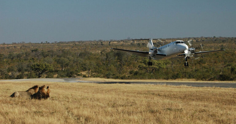 4 Days Fly In - Fly Out Great Migration Tour