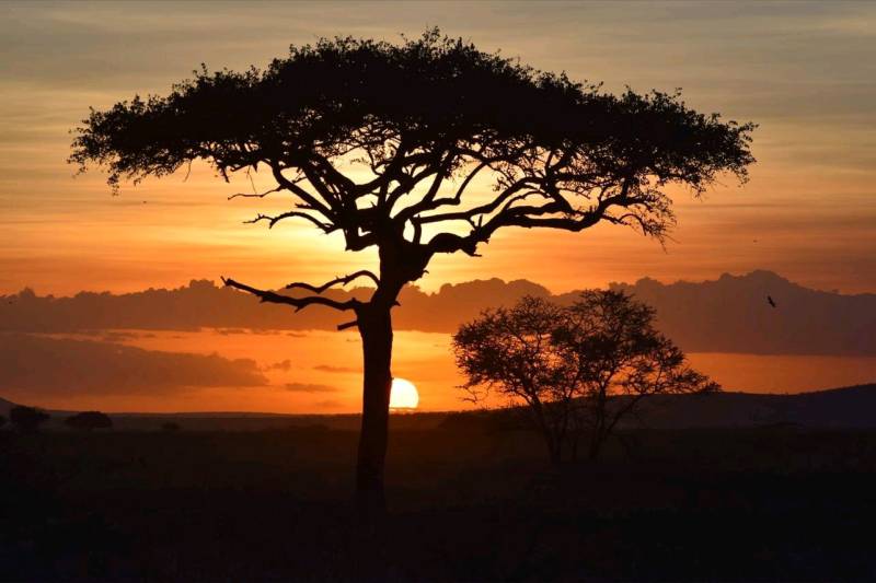 5 Day Tanzania Luxury Safari Tour