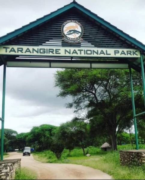 3 Day Mid-Range Tanzania Safari Tour