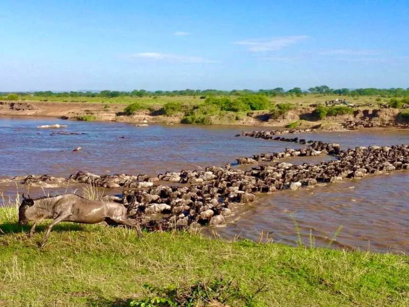 4-Day Kenya Safari Adventure Tour