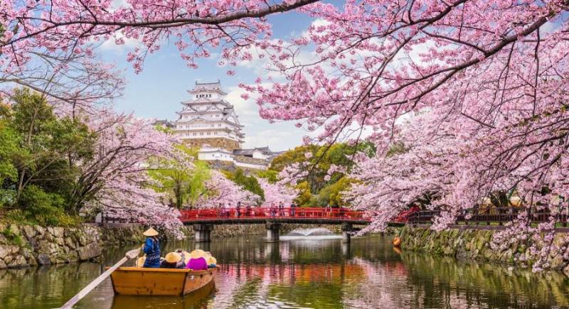 Cherry Blossom Festival 6 Nights 7 Days Tour