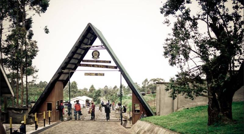 11 Days 10 Nights Ultimate Kilimanjaro & Safari Adventure