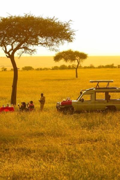 2 Days Ngorongoro Crater safari Tour Image