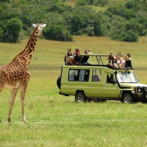 Arusha National Park Day Trip Image