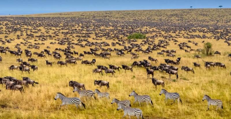 7 Days - Tanzania Itinerary Tour