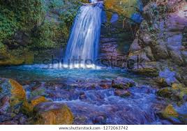 North & East Sikkim with Ganktok