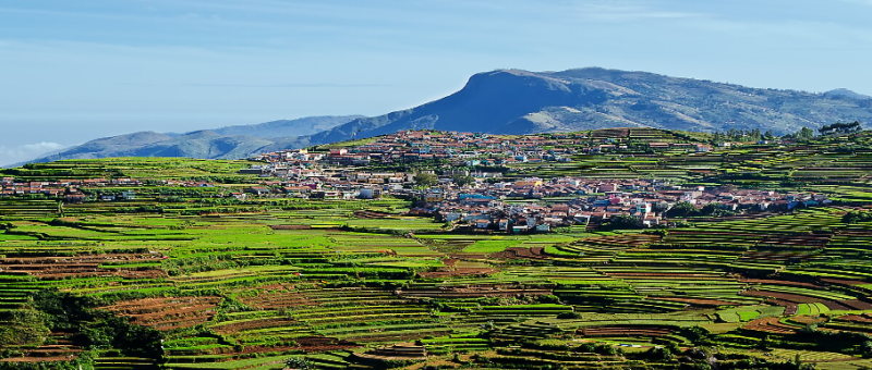 Kodaikanal - Munnar - Thekkady 5 Night 6 Days Tour