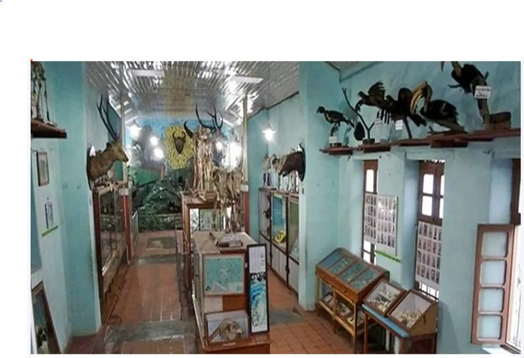 Madurai-Kodaikanal 4 Nights 5 Days