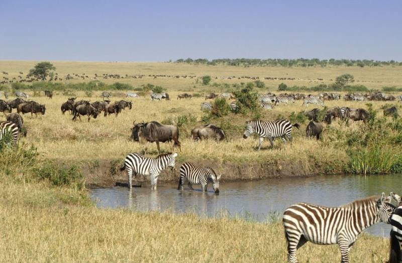 4-Day Masai Mara Safari - Group Joining