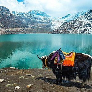 The Classic Manali Escape 3 Nights - 4 Days Tour