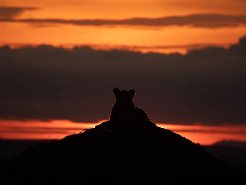 Amboseli National Park