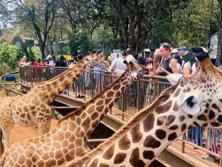 Nairobi National Park