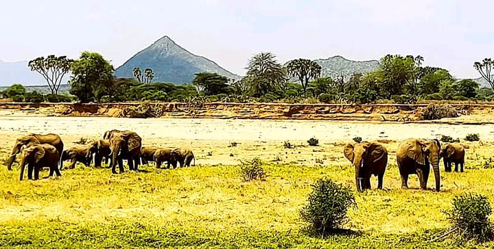 Samburu National Park