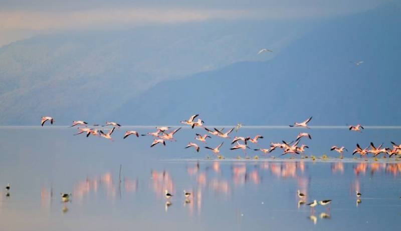 5days 4 Nights in the Wild