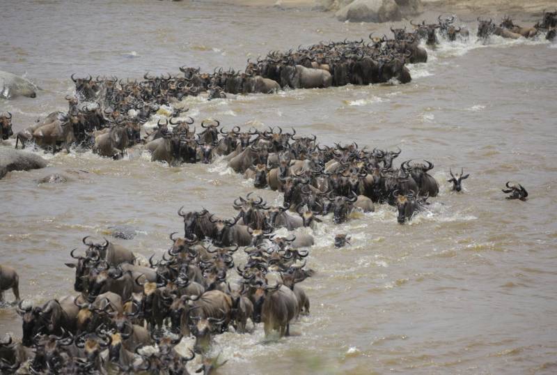 7 Days - 6 Nights Tanzania Safaris Tour Image