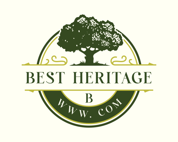 1 Day Itinerary for Kigali City Tour and Traditional Experience