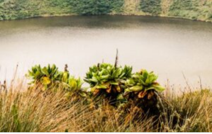 1(one) Day Tour Itinerary for Hiking Mount Bisoke (Rwanda)