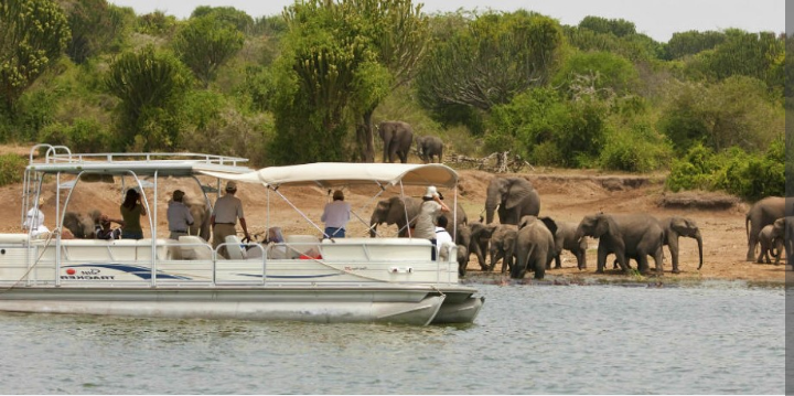 2 Days in Rwanda for Akagera National Park