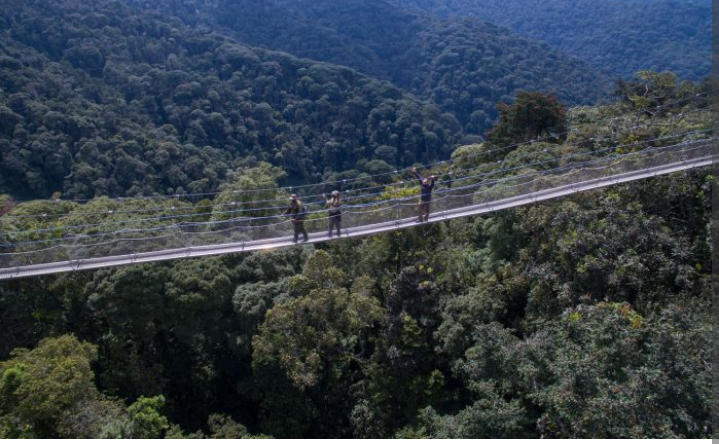 8 Days in Rwanda for Primate Safari and other Wildlife  Experience