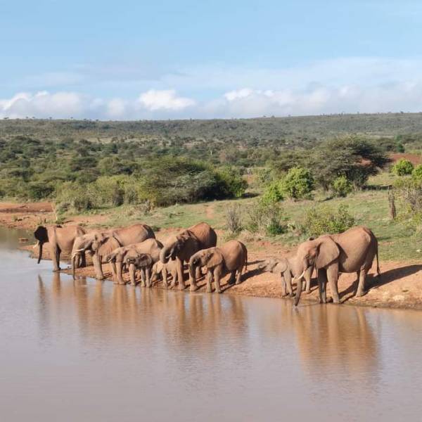 4-Day 4x4 Jeep Mara - Nakuru Flamingo Package Safari Image