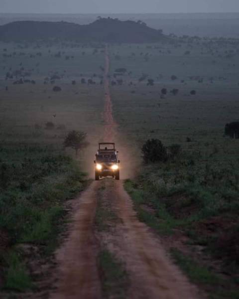 4-Day 4x4 Jeep Mara - Nakuru Flamingo Package Safari