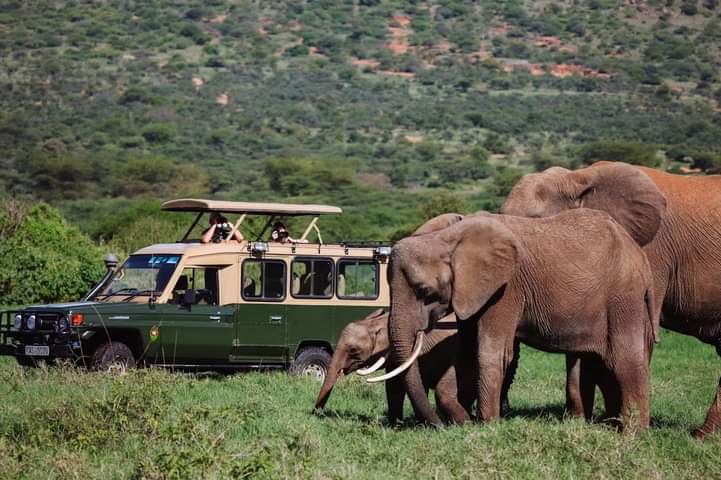 4-Day 4x4 Jeep Mara - Nakuru Flamingo Package Safari