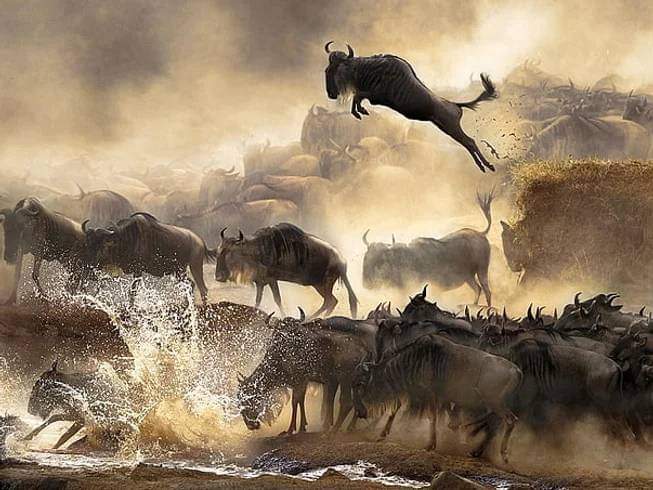 3-Day Masai Mara Escape