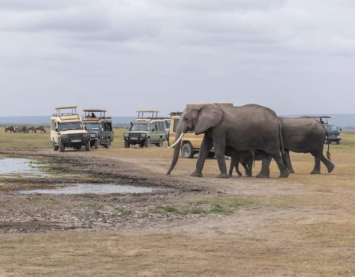 3-Day Masai Mara Escape