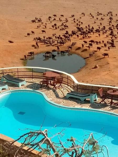 3-Day Masai Mara Escape