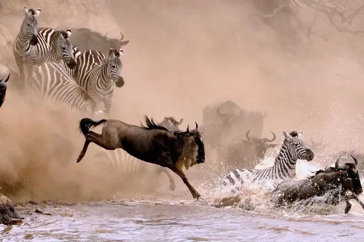3-Day Masai Mara Escape