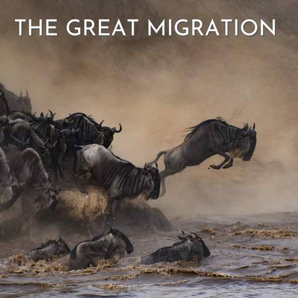 3-Day Masai Mara Escape