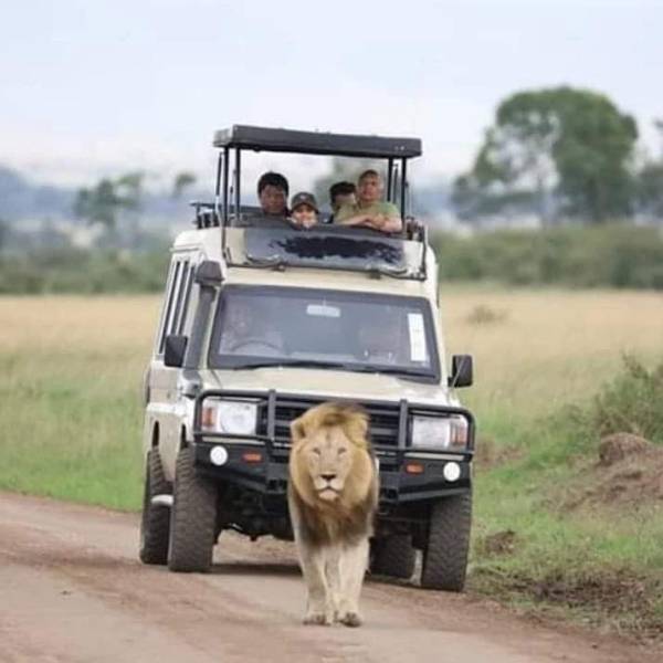 3-Day Masai Mara Escape