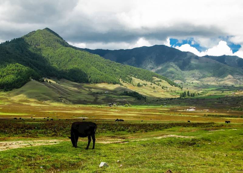 6N - 7D Bhutan Tour To Phobjikha Valley