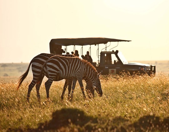3 days 2 nights to Masai Mara Tour Package