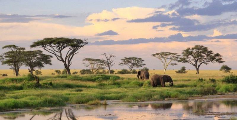 5 Days 4 Nights Classic Safari in Tanzania