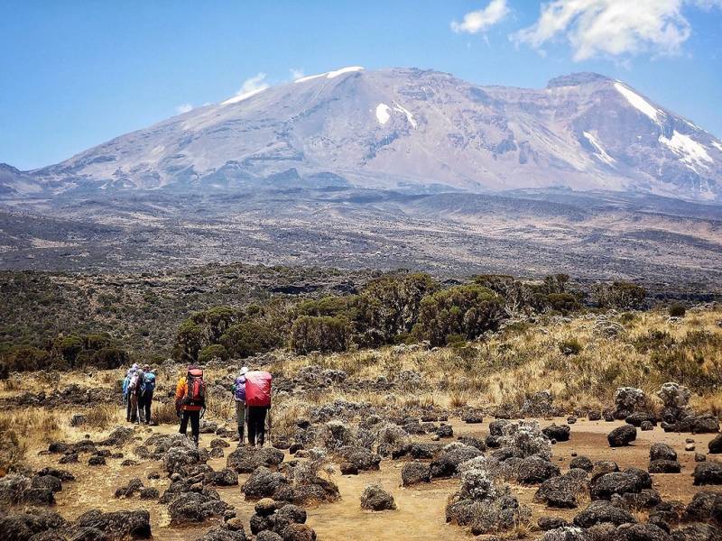 1day Kilimanjaro via Shira plateau