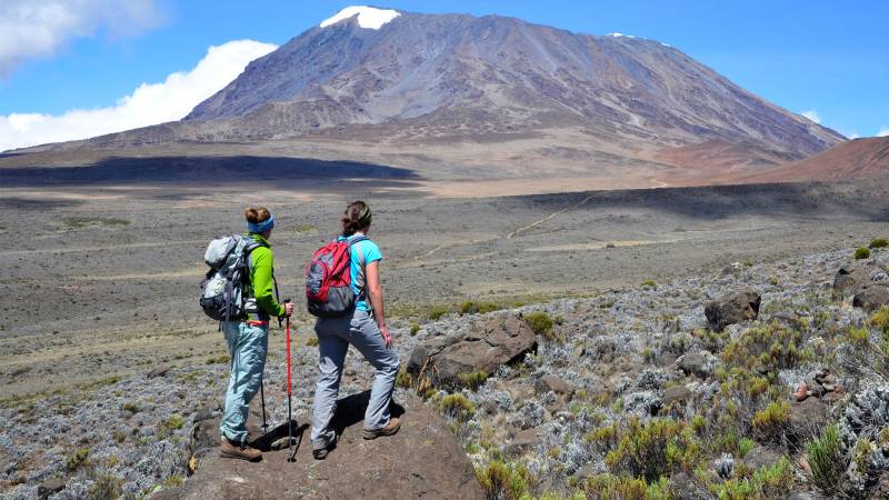 1day Kilimanjaro via Shira plateau