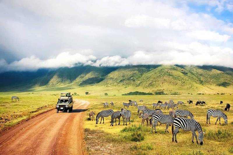 4-Day Ngorongoro Crater, Serengeti NP & Tarangire NP Budget Tour