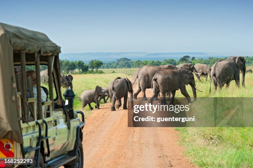 1 Day Shared Tour Tarangire National Park from Arusha