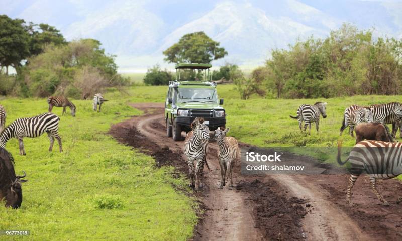 1 Day Shared Tour Tarangire National Park from Arusha