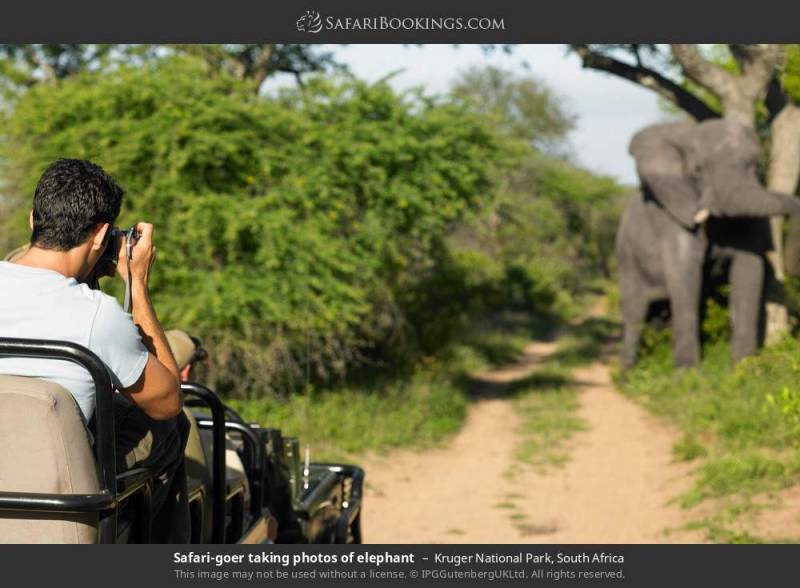 6-Day Highlights of Tanzania Mid-Range Safari