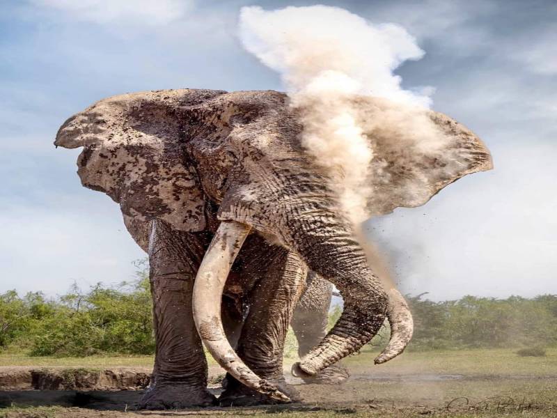 3 Nights 4 Days Maasai Mara